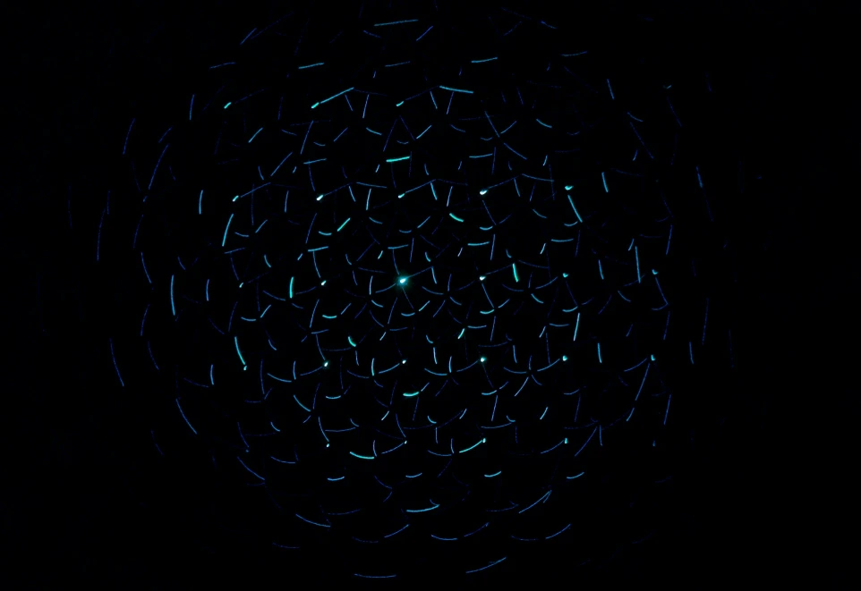 light decorations in dark area